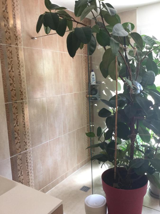 Belle Vue 1076 Villa Sainte-Colombe-en-Bruilhois Ngoại thất bức ảnh